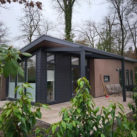 Chalet Op Vakantiepark Bonte Vlucht 多尔恩 外观 照片