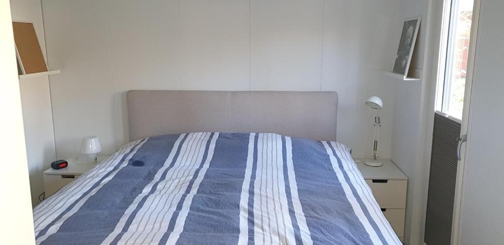 Chalet Op Vakantiepark Bonte Vlucht 多尔恩 外观 照片